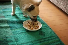 ぺろっと完食です！！