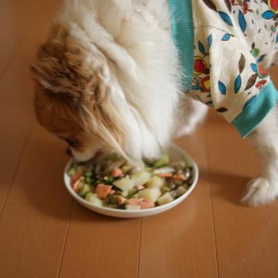 フライパンひとつで☆鮭のちゃんちゃん煮