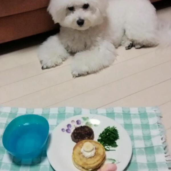 犬ご飯レシピ バナナパンケーキ Byカフェラッテ No 1062 わんわんシェフ見習い中