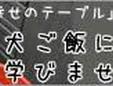 ペットの食を学ぶ☆ペット食育入門講座