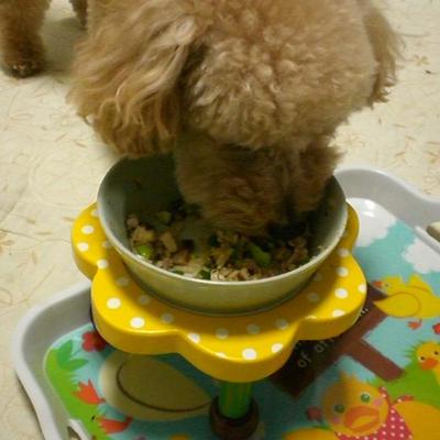 ラム肉のミネストローネ