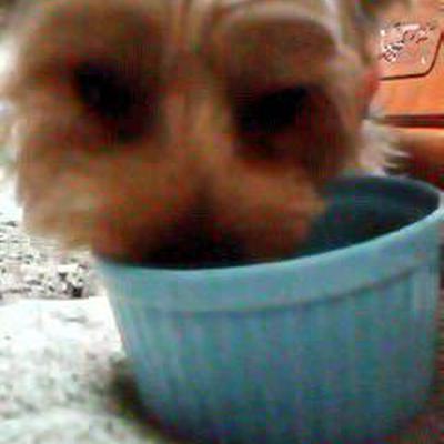 塩麹雑炊