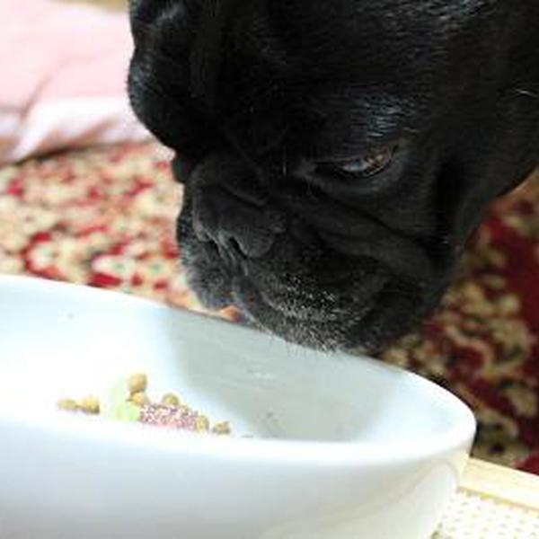 犬ご飯レシピ お誕生日のステーキ丼 Byサチ No 1199 わんわんシェフ見習い中