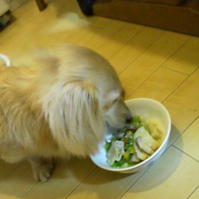 餃子雑炊、季節野菜とともに