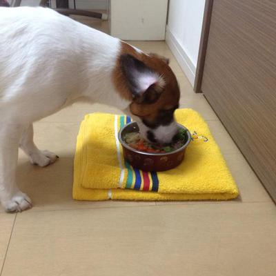 クスクス ラムごはん