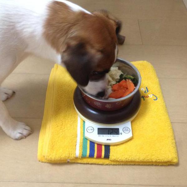 犬ご飯レシピ ささみご飯 Byちゅら わんわんシェフ見習い中