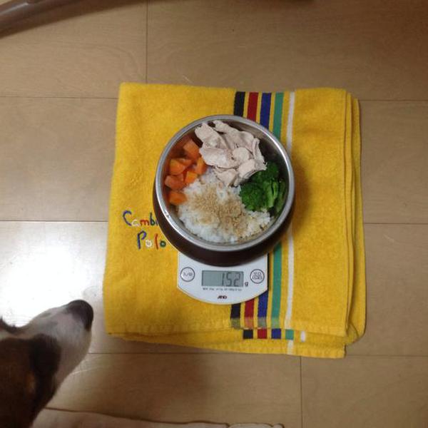 犬ご飯レシピ ささみご飯 Byちゅら No 1243 わんわんシェフ見習い中