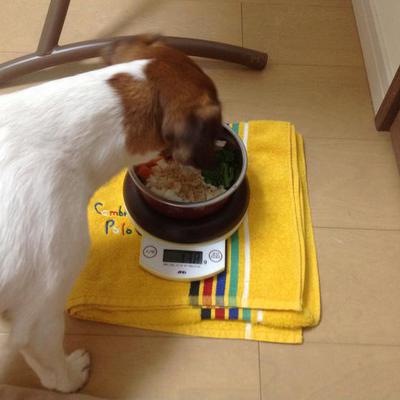 ささみご飯