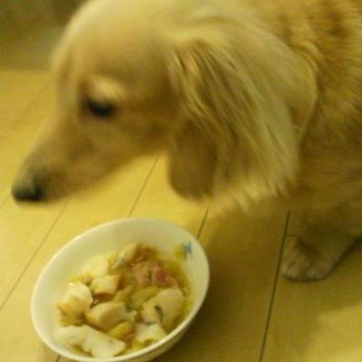 冬野菜と白身魚のソテー