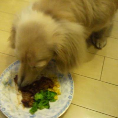 豚肉のみそマヨ焼き