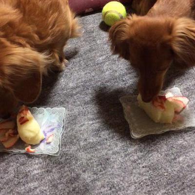 じゃがいもケーキ