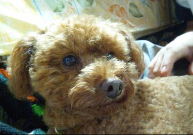 プロフィール写真