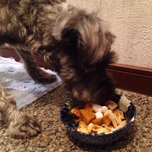 犬ご飯レシピ 鶏胸肉オリーブオイル焼き Byannsmom No 1334 わんわんシェフ見習い中