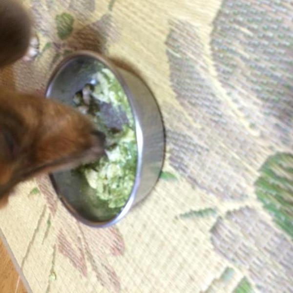 犬ご飯レシピ 鶏胸肉のボイルと野菜あんかけ Byｏｈ りん No 1354 わんわんシェフ見習い中