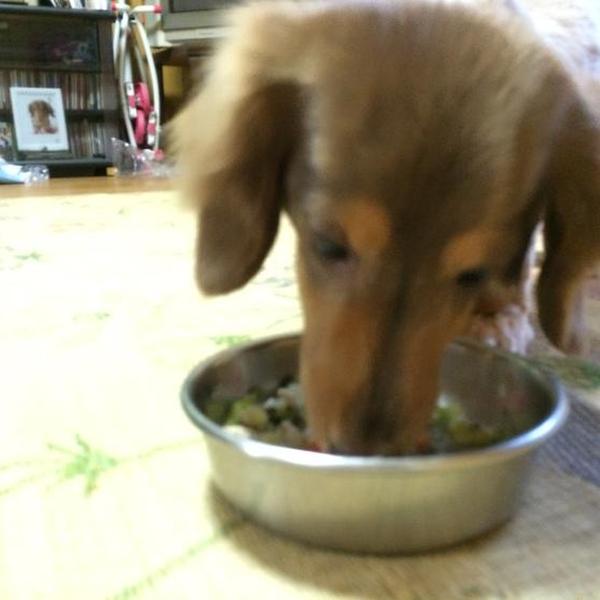 犬ご飯レシピ マグロ団子スープ Byｏｈ りん No 1355 わんわんシェフ見習い中