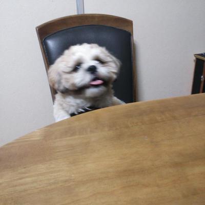 簡単手作りジャーキー
