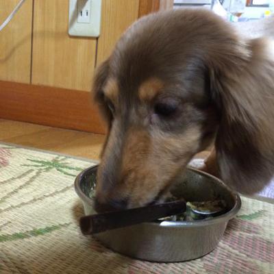 鹿肉入りハーブリゾット