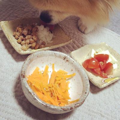 和食？