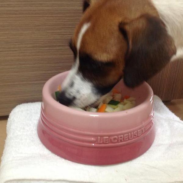 犬ご飯レシピ 手羽先スープ Byちゅら No 1385 わんわんシェフ見習い中