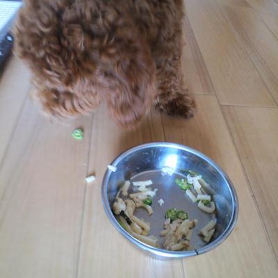 ネバネバうどん
