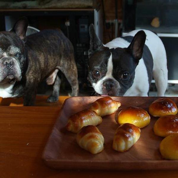 犬ご飯レシピ かぼちゃパン Byサチ No 1425 わんわんシェフ見習い中