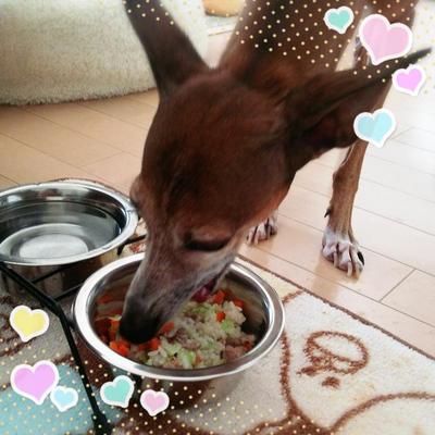 しょうが味チャーハン