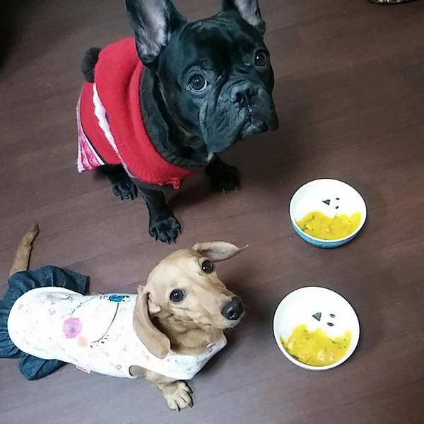 犬ご飯レシピ ハロウィン おばけ By姉弟mama No 1436 わんわんシェフ見習い中