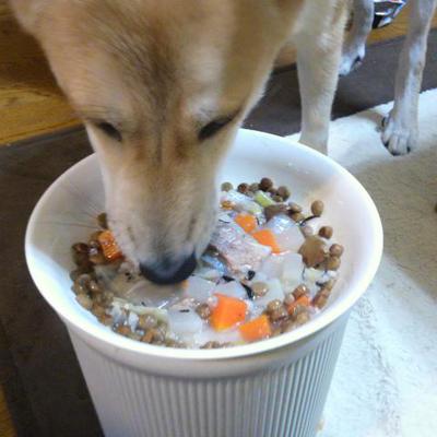 豚軟骨で煮たてたヘルシー粥