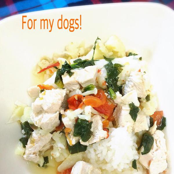 犬ご飯レシピ カリフラワーとトマトのスープご飯 By三國 涼子 No 1453 わんわんシェフ見習い中