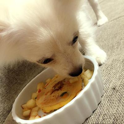 野菜パンケーキ