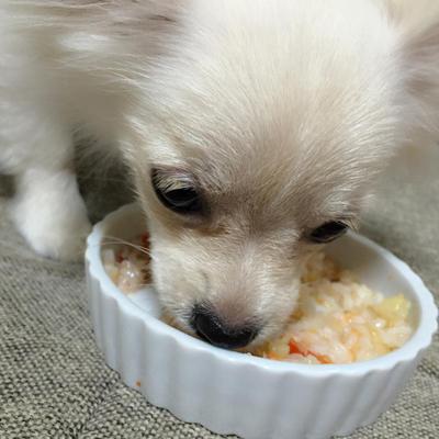 トマトとポテトのリゾット