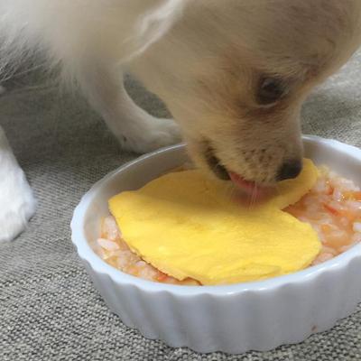 トマトリゾットのオムライス