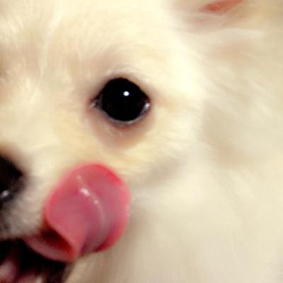 ポタージュリゾット