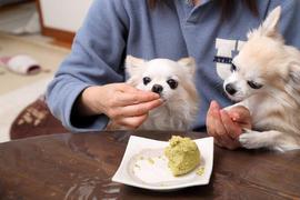 競いながら完食しました