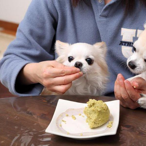 犬ご飯レシピ ふんわりおから蒸しパン Bysao No 1505 わんわんシェフ見習い中