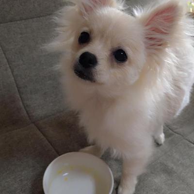 レンジで♪ふんわりオムレツ