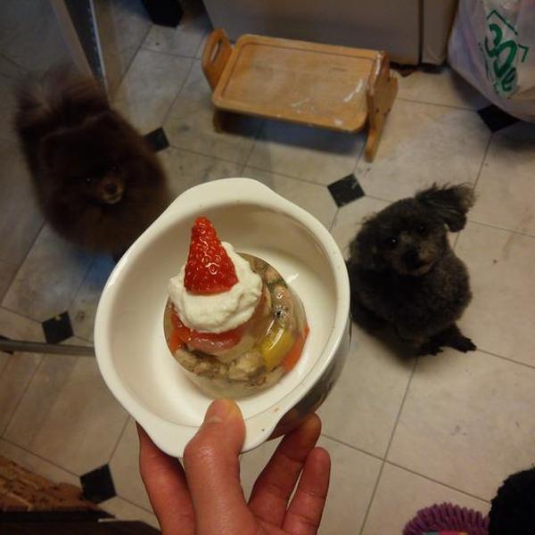 わんわんシェフ見習い中