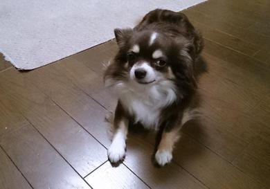 プロフィール写真