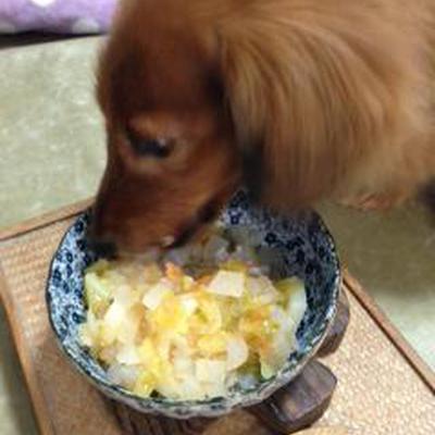 じゃがいもと野菜たっぷりスープ
