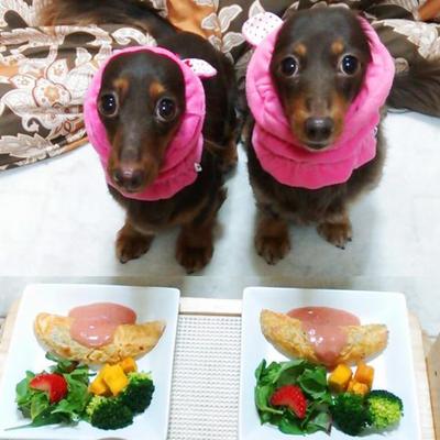 桜エビとしらすのふわふわオムレツ♪