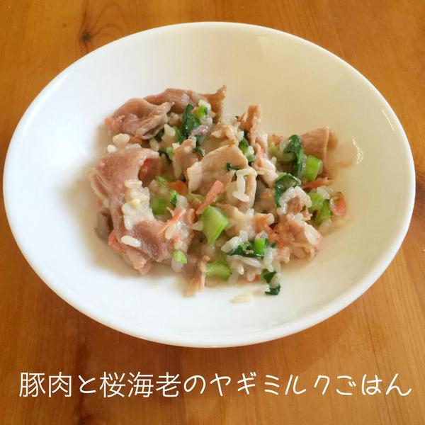 豚肉と桜海老のヤギミルクごはん