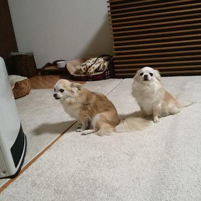 高野豆腐ラスク