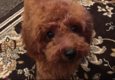 プロフィール写真