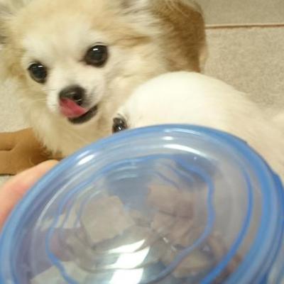 きな粉クッキー