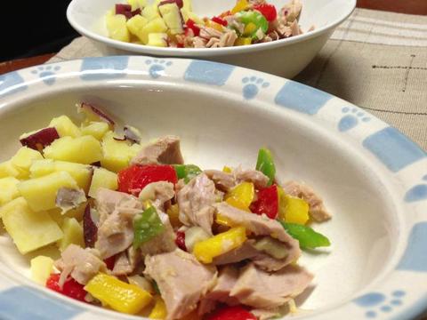 ドッグ☆にゃんこ風ごはん