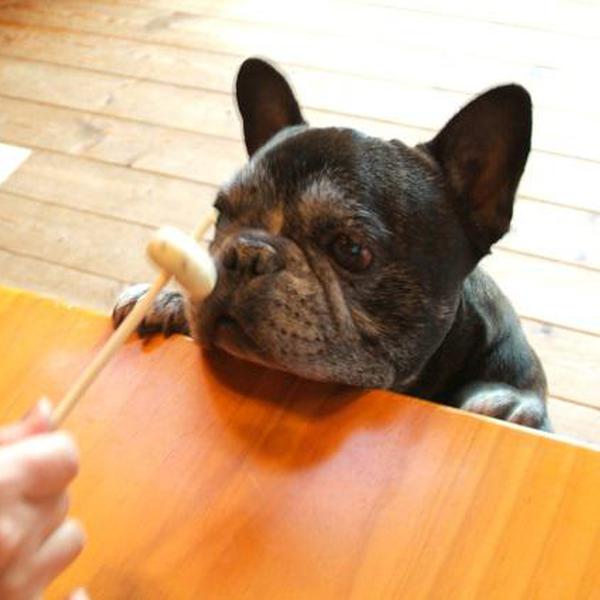 犬ご飯レシピ さつまいも 黒ごまのベーグル Byサチ No 1605 わんわんシェフ見習い中
