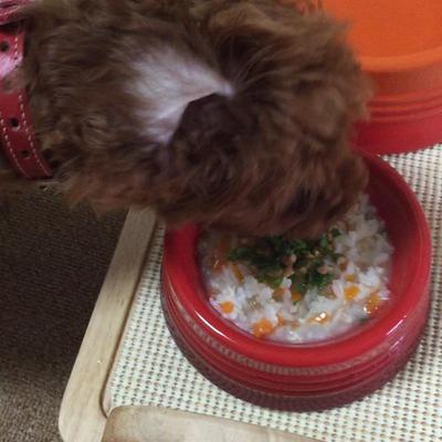 好物だらけのスープごはん