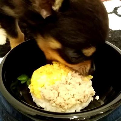 ミニミニ鶏そぼろ丼