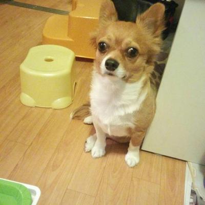 さつま芋リゾット