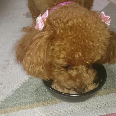 ばくばくバーグ